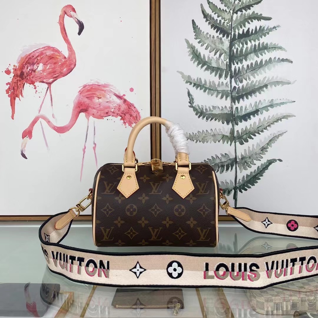 LOUIS VUITTON 路易威登M45957 女士单肩包 枕头包